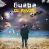 Guaba Do - Guaba is Raving (DE REMIX) [DE REMIX] - Single